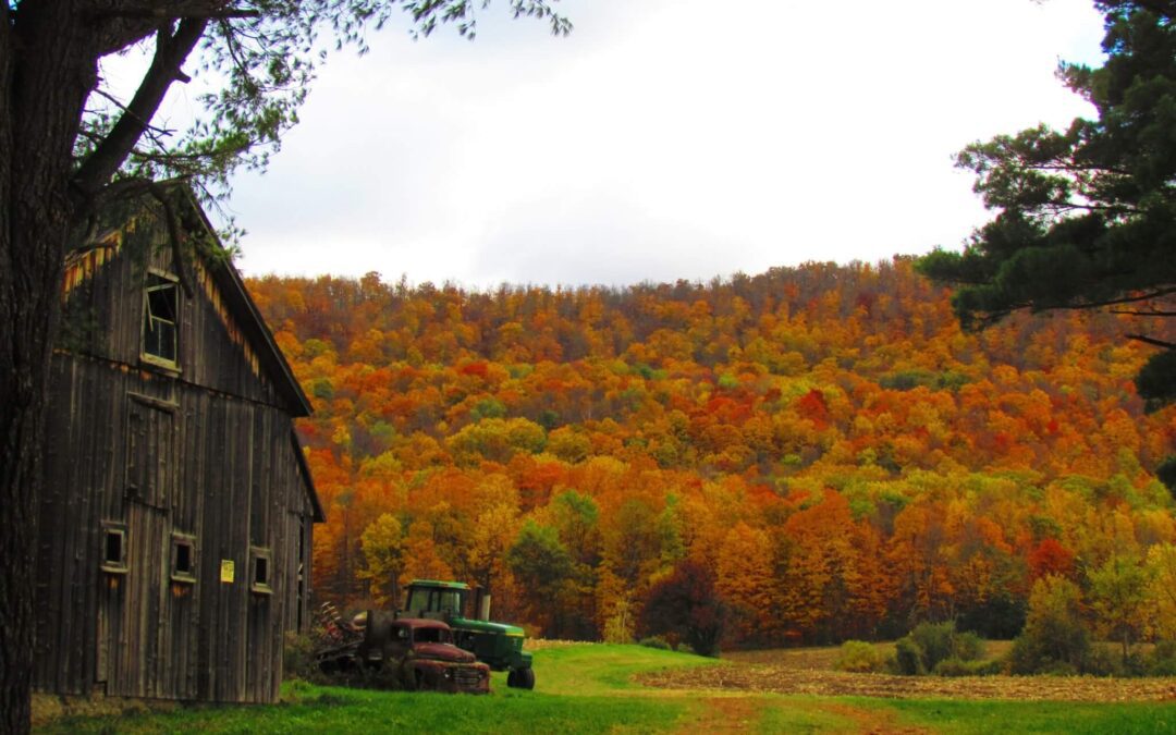 Explore the Berkshires: Must-Visit Landmarks Near Himalayan High